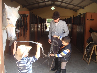 Sul Informação - Centro equestre em Pêra prepara novos estágios para jovens cavaleiros no Verão