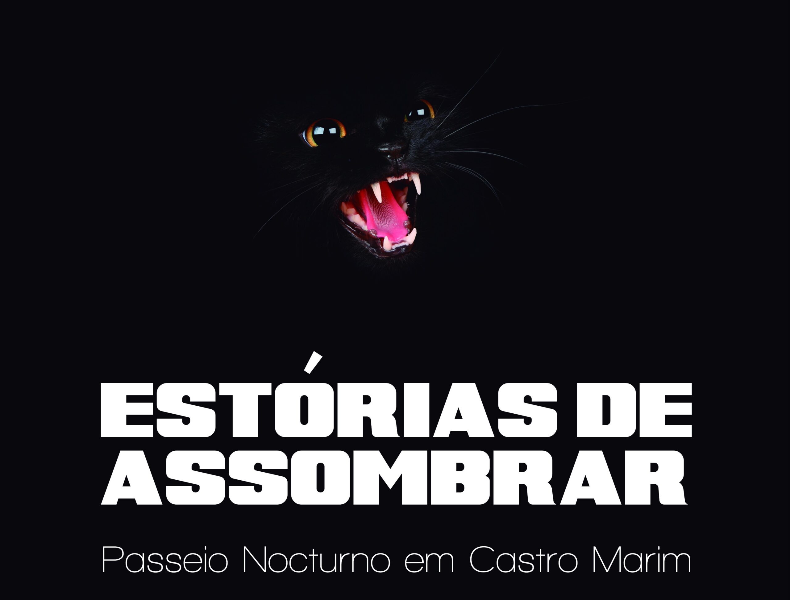 Sul Informação - Mouros, bruxas e aparições nas ruas de Castro Marim em noite de lua cheia