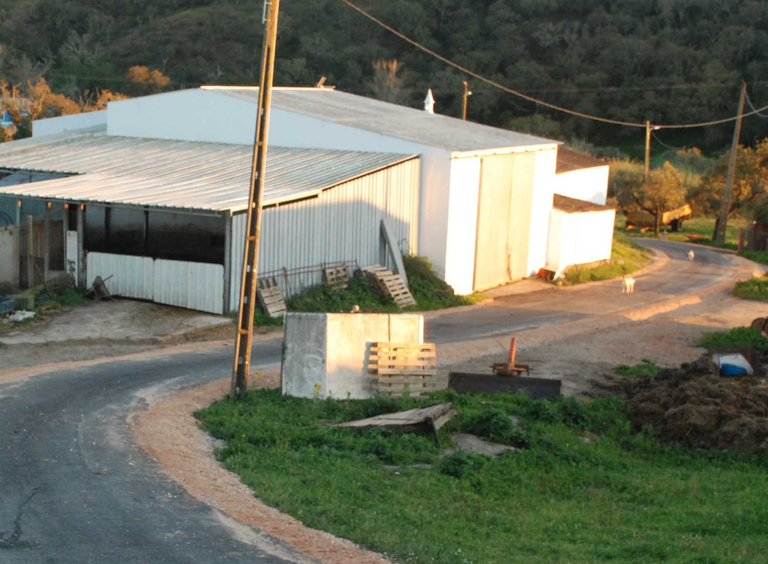 Sul Informação - Obras de pavimentação de caminhos em SB de Messines foram concluídas