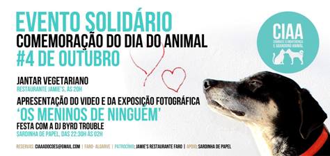 Sul Informação - Amigos dos animais promovem evento solidário em Faro