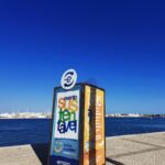 Sul Informação - Restos de comida do Festival da Sardinha transformados em fertilizante