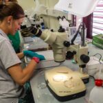 Sul Informação - TREC vai meter o Algarve no mapa dos ecossistemas costeiros da Europa