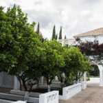 Sul Informação - Segredos do concelho de Olhão revelaram-se em mais uma Fam Trip