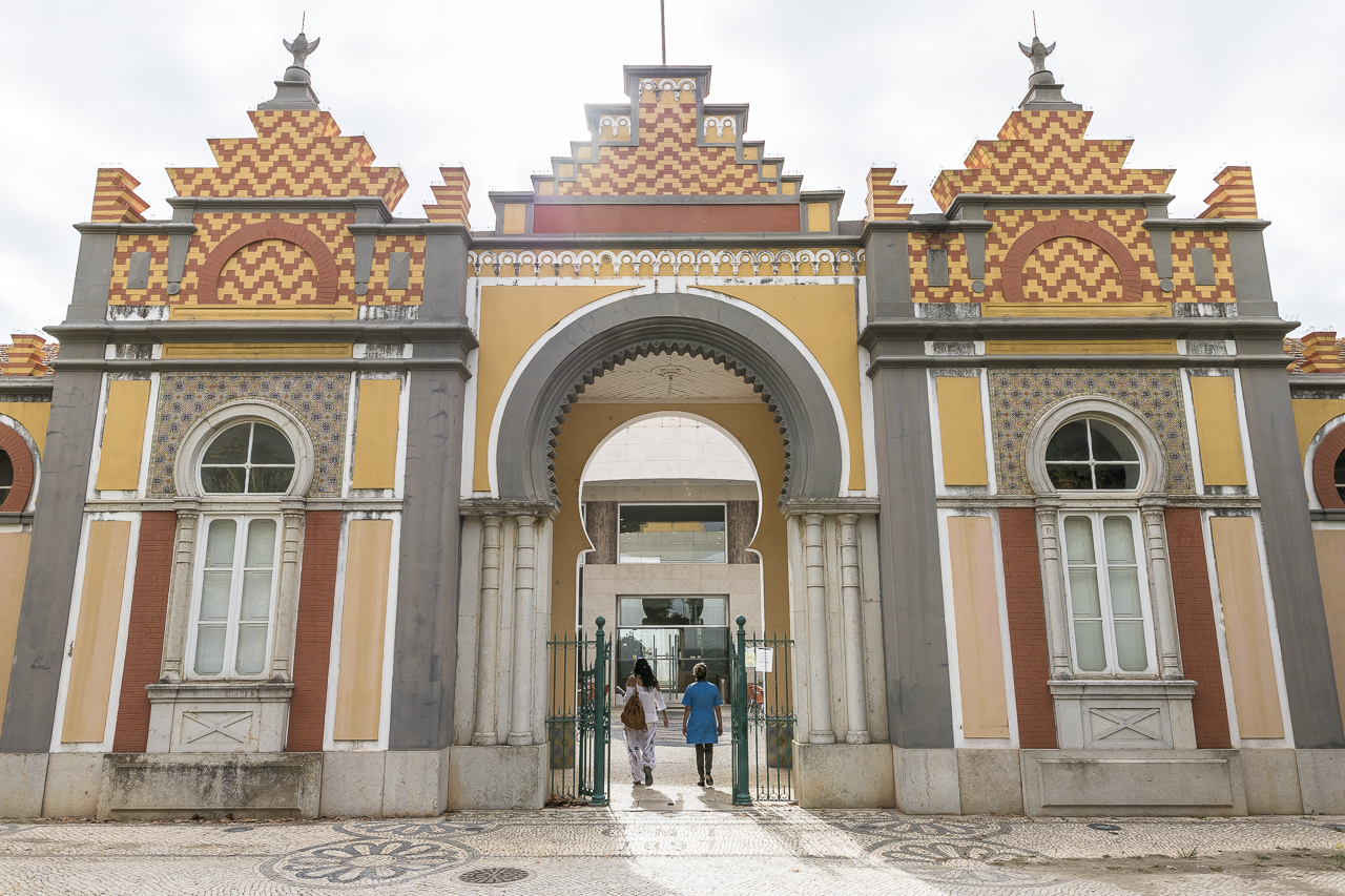 Sul Informação - Assembleia Municipal aprova proposta do PAN contra podas abusivas em Faro