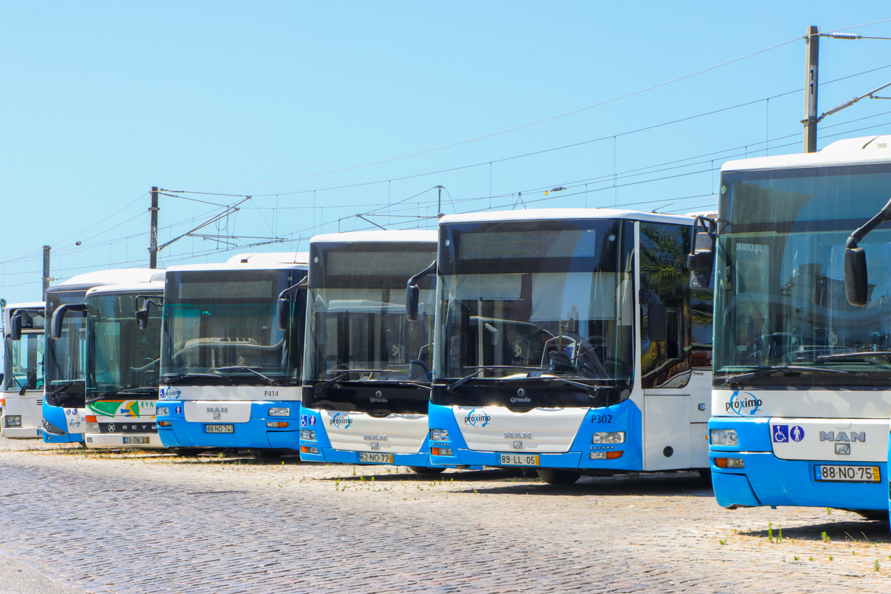 Sul Informação - Greve nos transportes com «adesão massiva» no Próximo (Faro), mas não no resto do Algarve