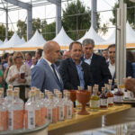 Sul Informação - Festa da FATACIL já regressou a Lagoa