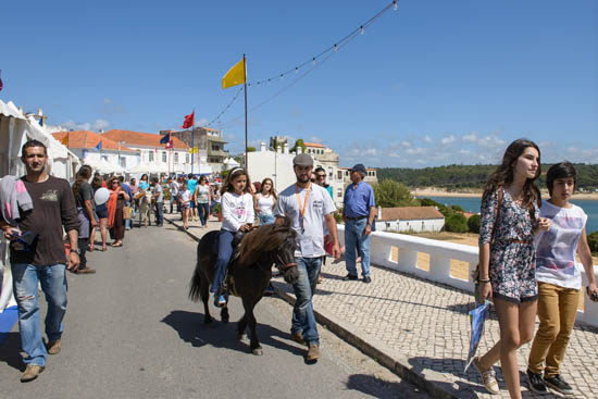 Sul Informação