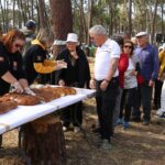 Sul Informação - No dia 1 de Abril, há festa do Partir do Folar no pinhal da Samouqueira