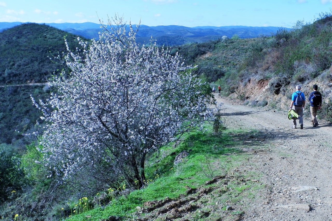Sul Informação - Do ar, no rio e em caminhos de terra se mostram as riquezas do Baixo Guadiana