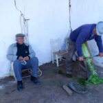Sul Informação - Do ar, no rio e em caminhos de terra se mostram as riquezas do Baixo Guadiana