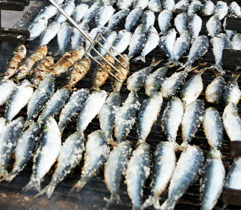 Sul Informação - Festival dá lugar à Festa da Sardinha em Portimão