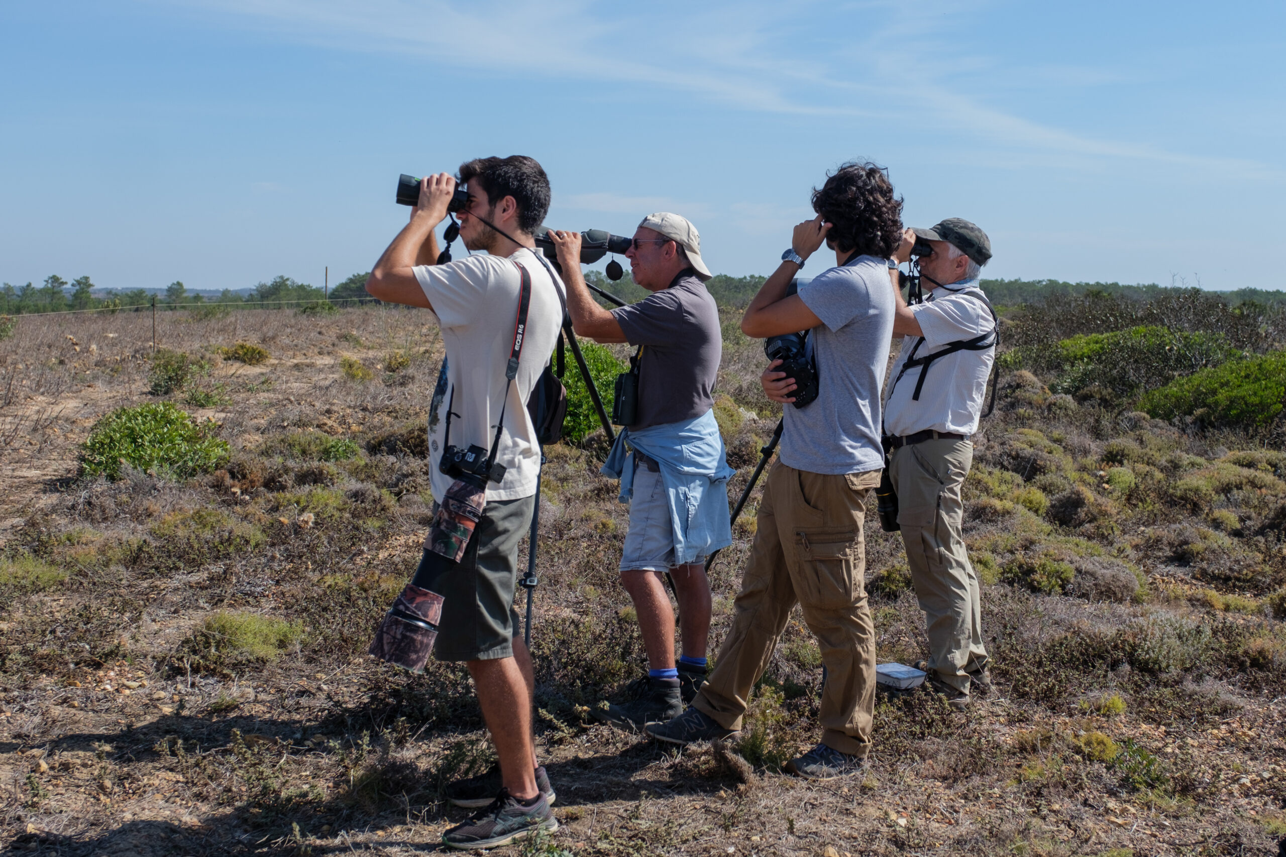 Sul Informação - Festival de Observação de Aves e Atividades de Natureza regressa a Sagres