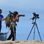 Sul Informação - Todos de cabeça no ar em Sagres para o Festival de Observação de Aves
