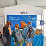 Sul Informação - Primeiro dia do Festival de Observação de Aves de Sagres culmina com libertação de águia-calçada