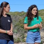 Sul Informação - Primeiro dia do Festival de Observação de Aves de Sagres culmina com libertação de águia-calçada