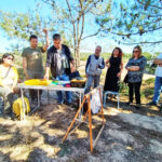 Sul Informação - Primeiro dia do Festival de Observação de Aves de Sagres culmina com libertação de águia-calçada