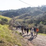 Sul Informação - Amendoeiras em flor enchem Alta Mora de gente com muita vontade de caminhar