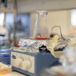 Sul Informação - Sabia que já há filetes de peixe produzidos em laboratório?