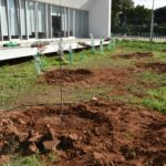 Sul Informação - Alunos de Quarteira plantam amendoeiras na Escola EB 2,3 D. Dinis