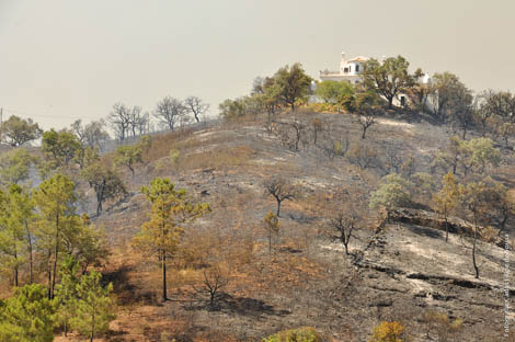 Sul Informação - Incêndio de São Brás e Tavira já está dominado