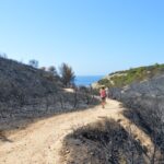 Sul Informação - Incendiário de Benagil continua a ser procurado pelas autoridades