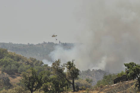 Sul Informação - Incêndio nos Montes Novos, em Loulé, foi dado como dominado pela Proteção Civil