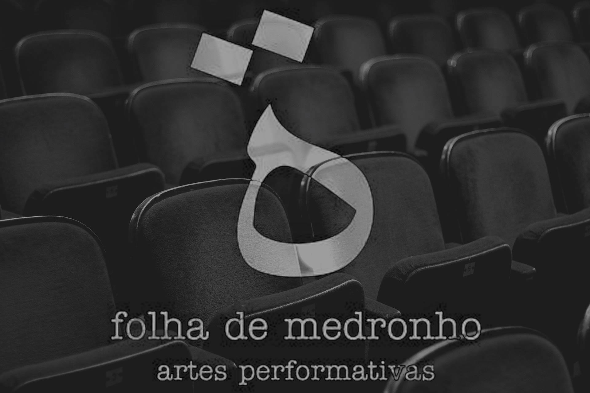 Sul Informação - Folha de Medronho ensina gestão às associações culturais