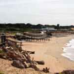 Sul Informação - O que é que aconteceu à Praia do Forte Novo e como podia ter sido evitado? 