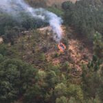 Sul Informação - O Fogo, a Floresta e os equívocos