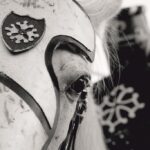 Sul Informação - Feira Medieval de Silves mostra-se em exposição fotográfica pela cidade