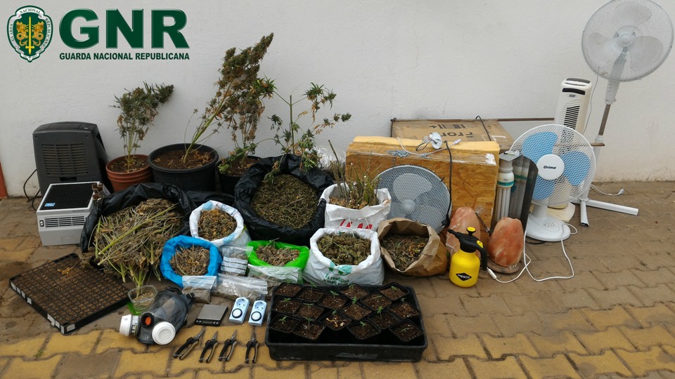 Sul Informação - GNR apreendeu 9,4 quilos de canábis depois de mandar parar carro em São Brás