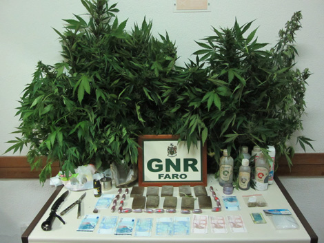 Sul Informação - GNR detém traficante de haxixe em Moncarapacho