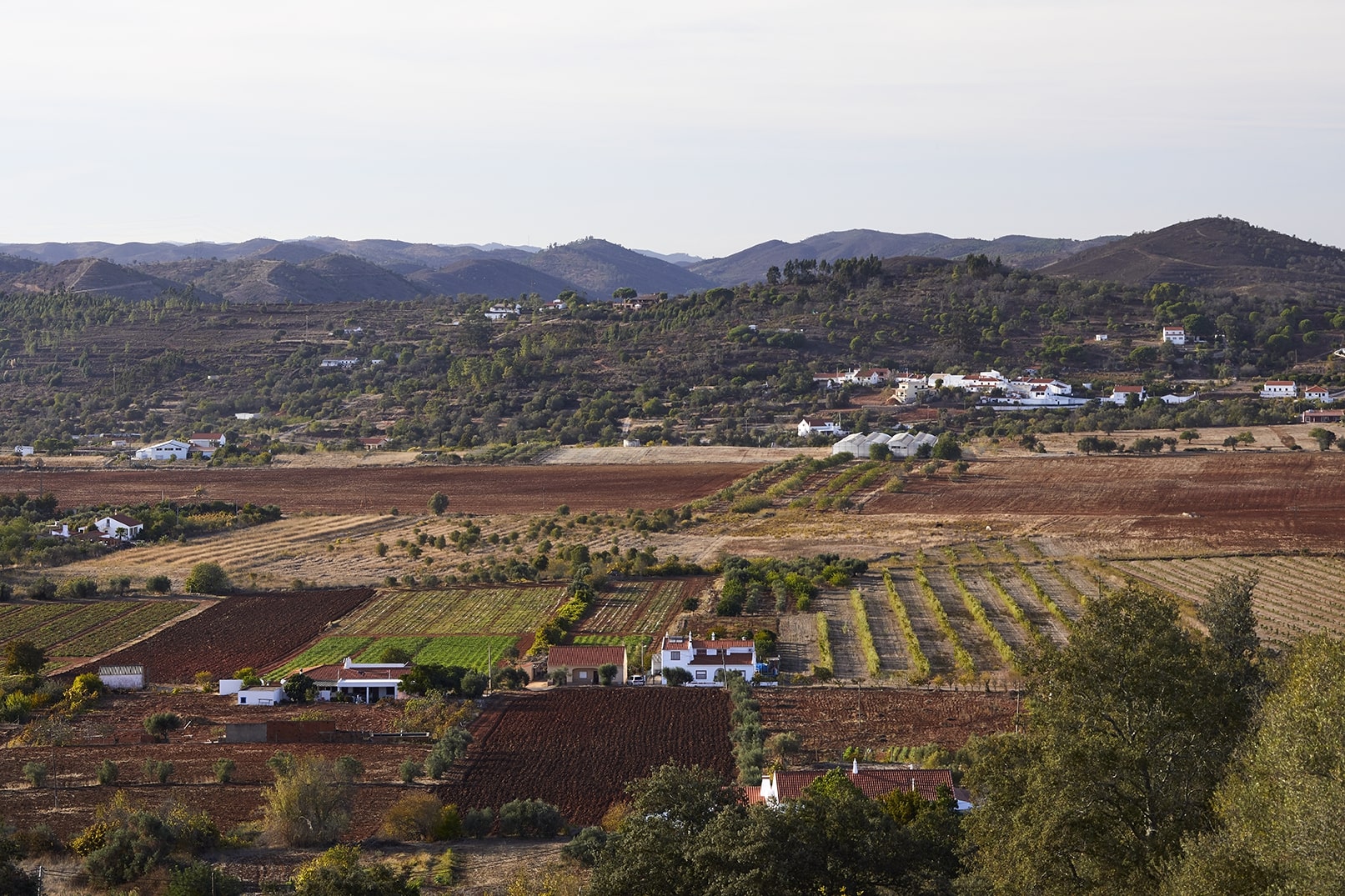 Sul Informação - Loulé, Silves, Albufeira e UAlg assinam protocolo para candidatura a Geoparque da UNESCO