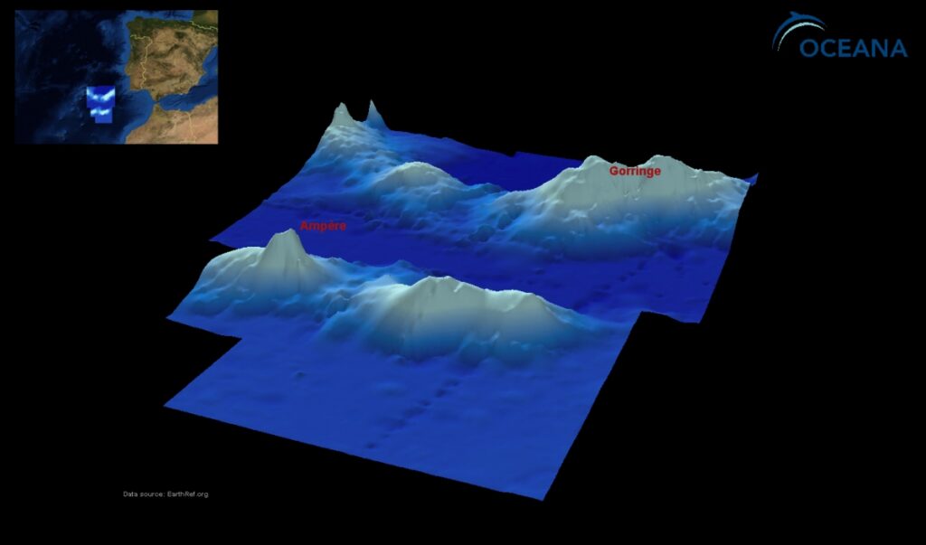 Fonte: http://eu.oceana.org/es/eu/que-hacemos/proteccion-de-habitats/atlantico/portugal/gorringe