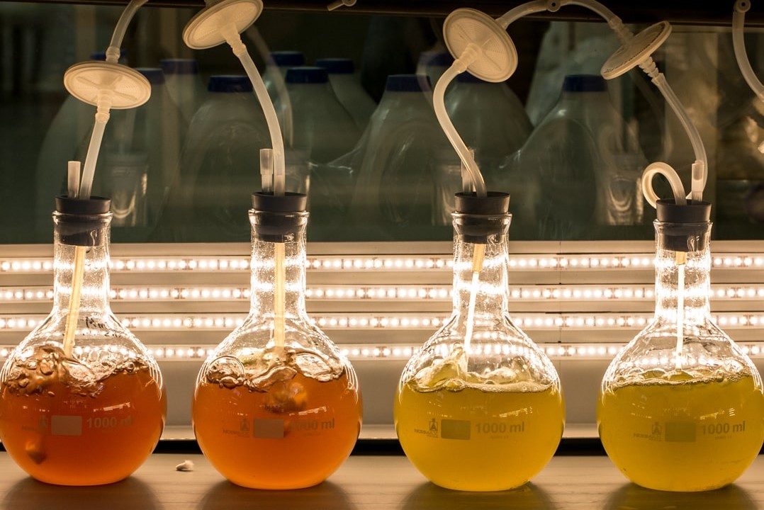 Sul Informação - Laboratórios colaborativos algarvios vão receber mais financiamento europeu