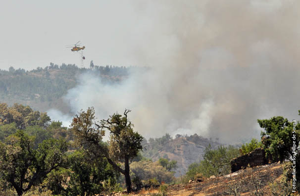 Sul Informação - Dois helicópteros estão a combater incêndio em Alferce, Monchique