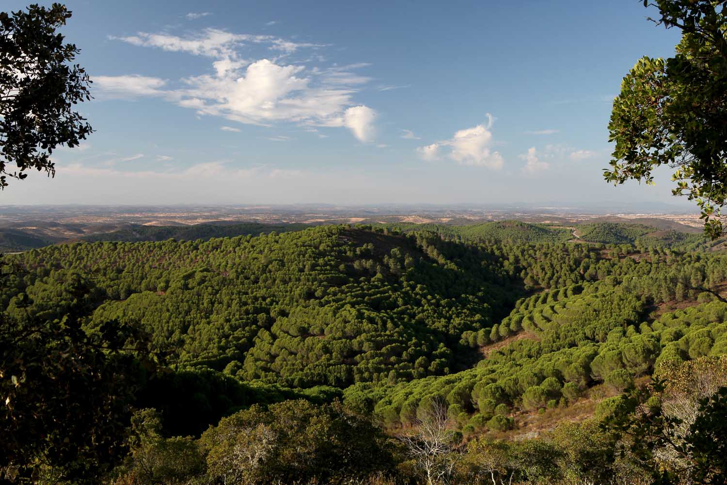 Sul Informação - Moura: Herdade da Contenda vence Prémio Nacional de Paisagem 2020