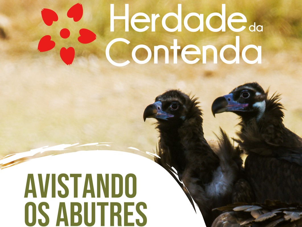 Sul Informação - Moura volta a promover ciclo de passeios na Herdade da Contenda