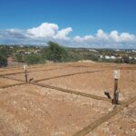 Sul Informação - Albufeira abre candidaturas para hortas comunitárias