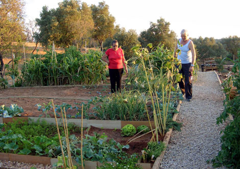 Sul Informação - Hortas Sociais de Loulé promovem quatro oficinas sobre técnicas agrícolas