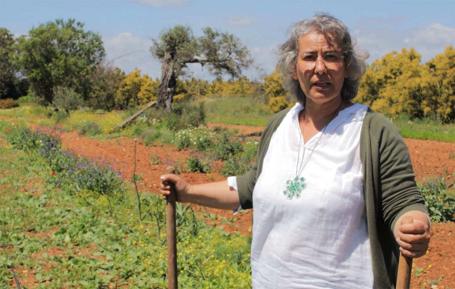 Sul Informação - Vídeos que são «manuais simples» ensinam a enxertar, podar e fazer horticultura