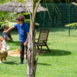 Sul Informação - Hotéis de cinco estrelas no Algarve há muitos, mas este é só para cães