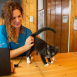 Sul Informação - Hotéis de cinco estrelas no Algarve há muitos, mas este é só para cães