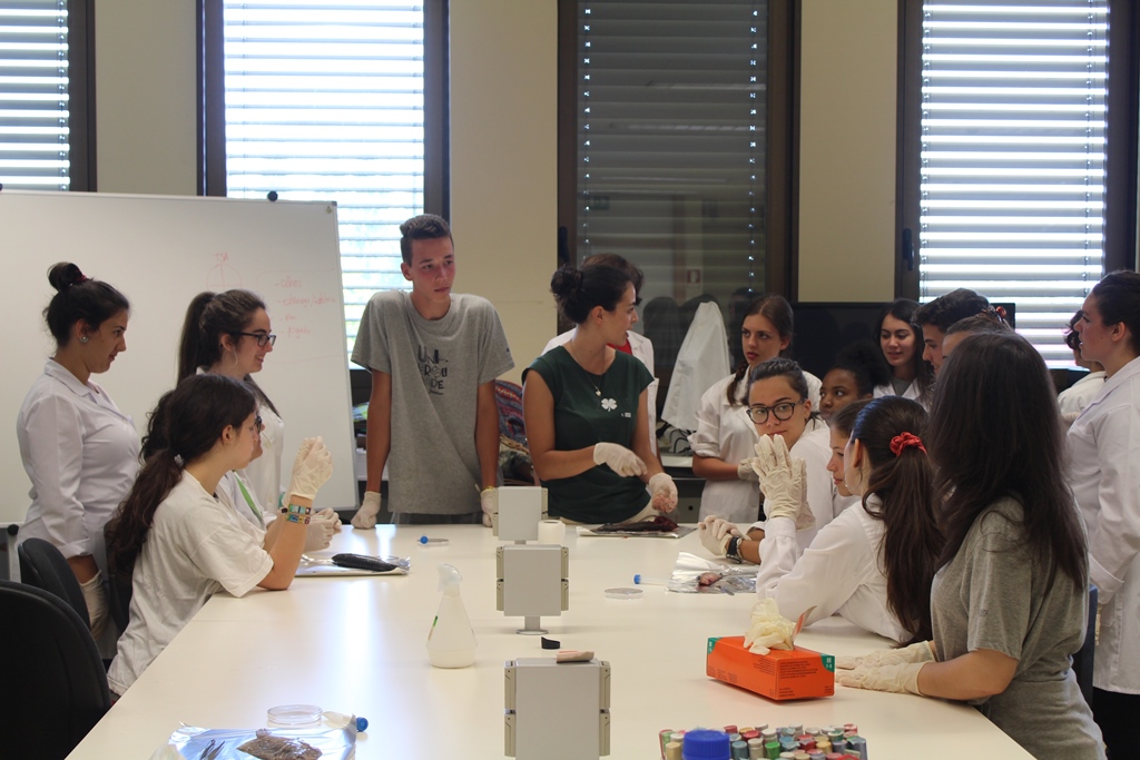 Sul Informação - Alunos do Básico e Secundário de Alcoutim experimentaram a vida de universitário