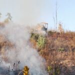Sul Informação - Portimão: Incêndio com duas frentes no Rasmalho já está controlado (com fotos)