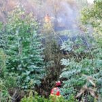 Sul Informação - Portimão: Incêndio com duas frentes no Rasmalho já está controlado (com fotos)