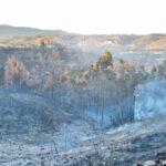 Sul Informação - Portimão: Incêndio com duas frentes no Rasmalho já está controlado (com fotos)