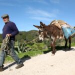 Sul Informação - Patrimónios imateriais e fotografia