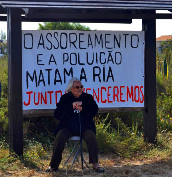 Sul Informação - Camaleão atira demolições para processo em Tribunal que se adivinha longo