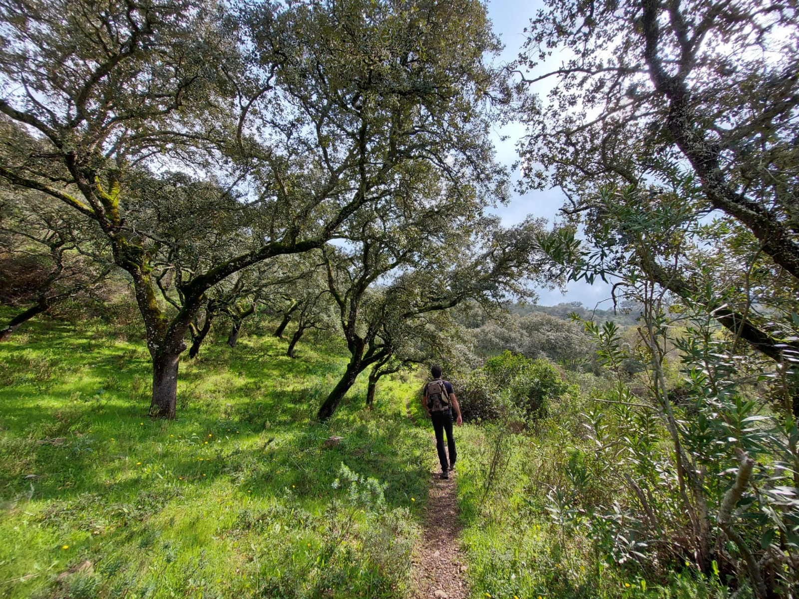 Sul Informação - QRER faz um “Convite ao Interior” para descobrir a floresta e biodiversidade